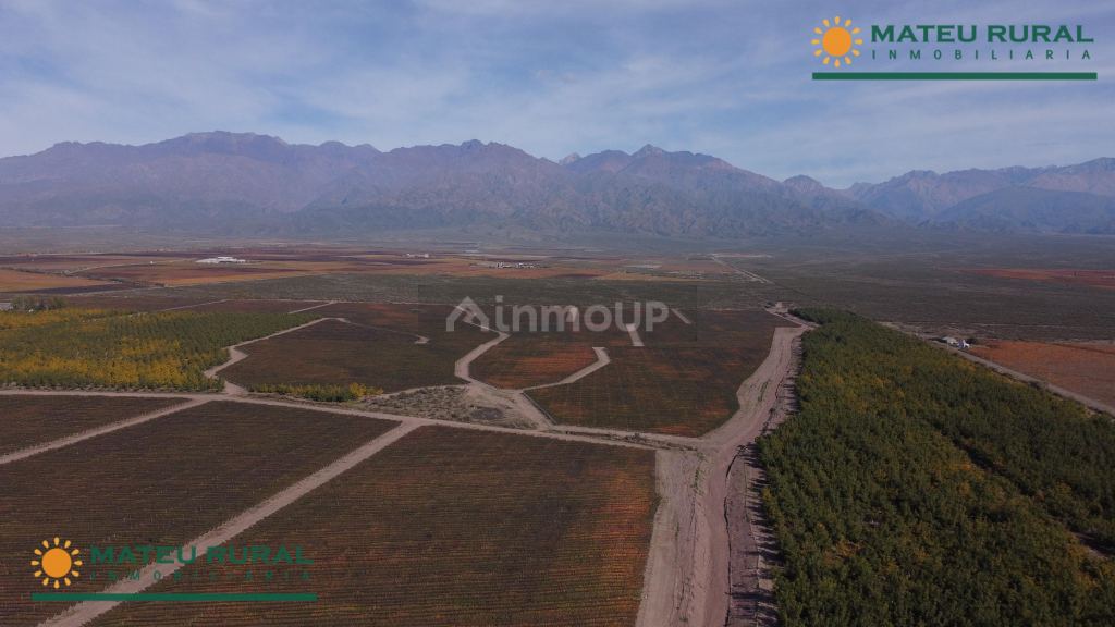 Finca en Venta en Tunuyan, Mendoza