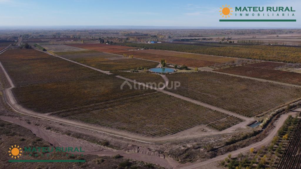 Finca en Venta en Tunuyan, Mendoza