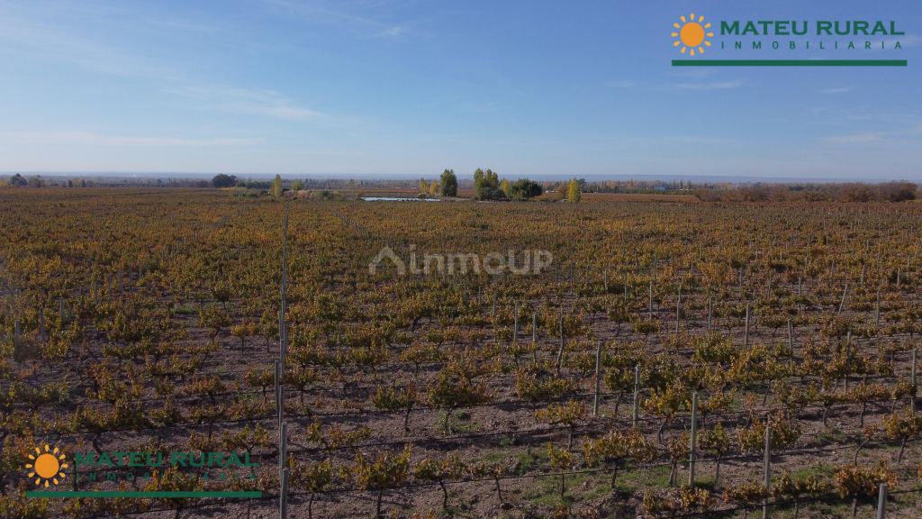 Finca en Venta en Tunuyan, Mendoza