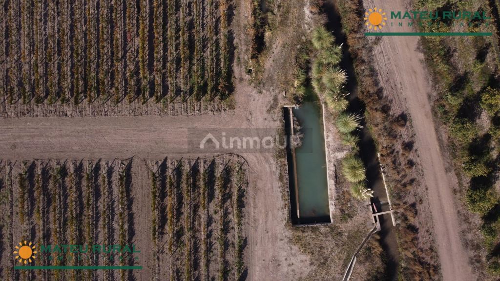Finca en Venta en Tunuyan, Mendoza