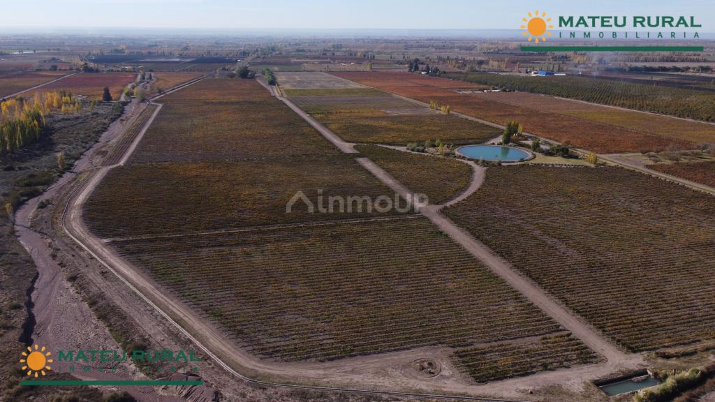 Finca en Venta en Tunuyan, Mendoza