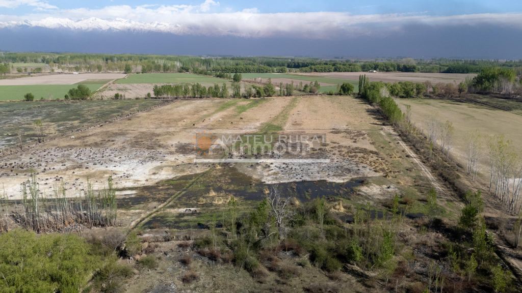 Finca en Venta en Tunuyan, Mendoza