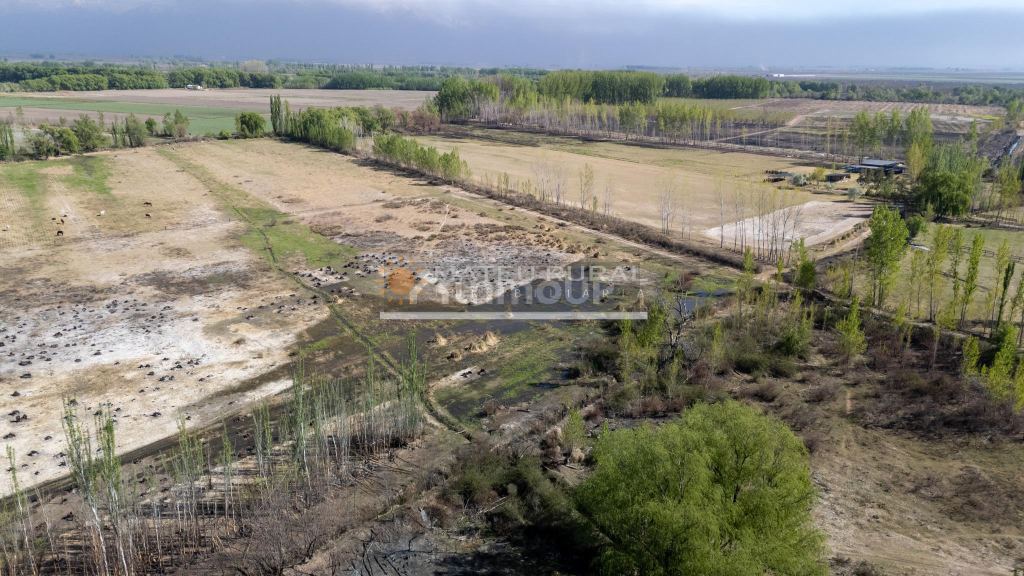 Finca en Venta en Tunuyan, Mendoza