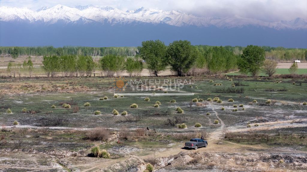 Finca en Venta en Tunuyan, Mendoza