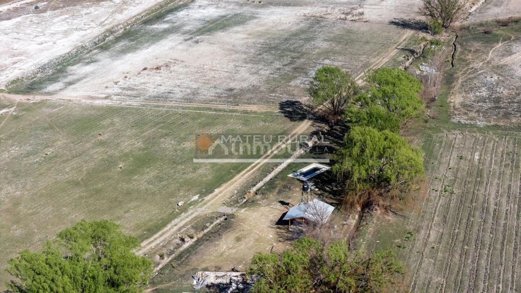 Finca en Venta en Tunuyan, Mendoza