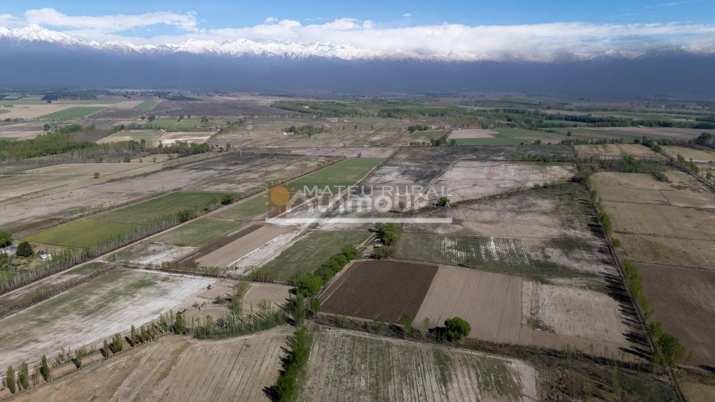 Finca en Venta en Tunuyan, Mendoza