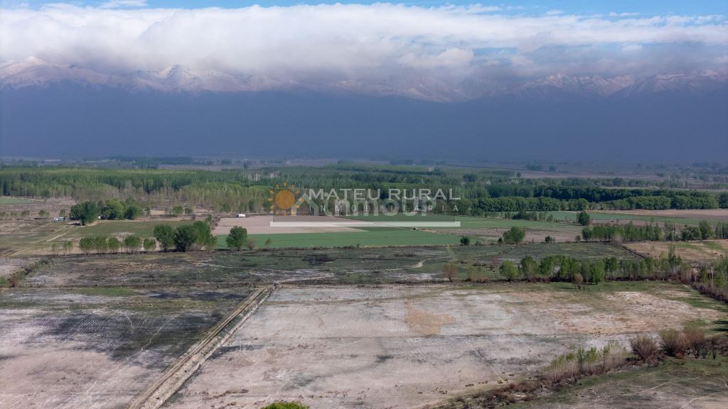 Finca en Venta en Tunuyan, Mendoza