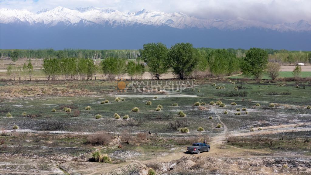 Finca en Venta en Tunuyan, Mendoza