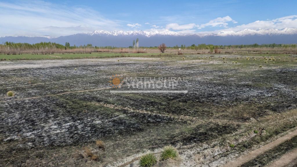 Finca en Venta en Tunuyan, Mendoza