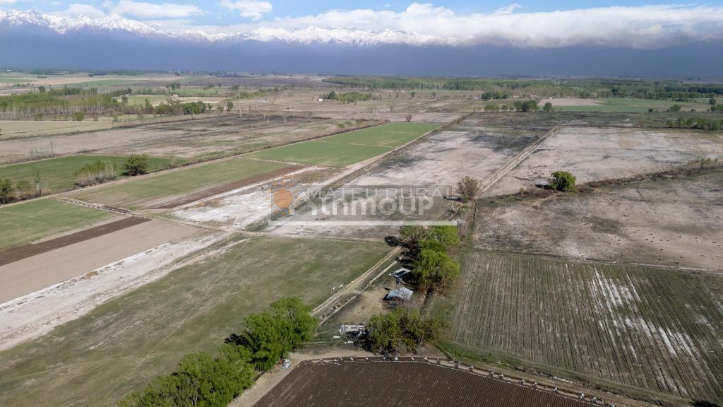 Finca en Venta en Tunuyan, Mendoza