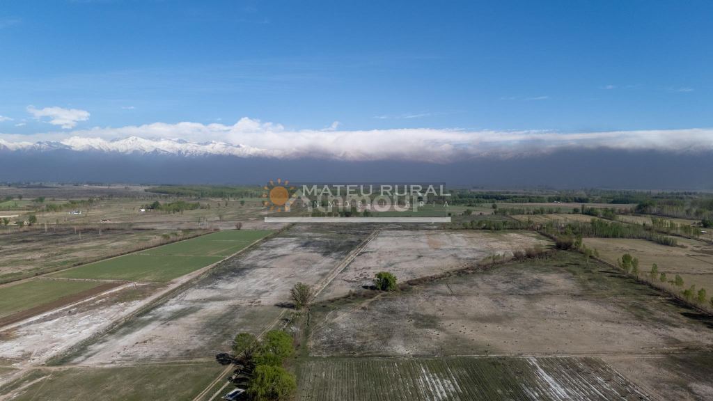 Finca en Venta en Tunuyan, Mendoza