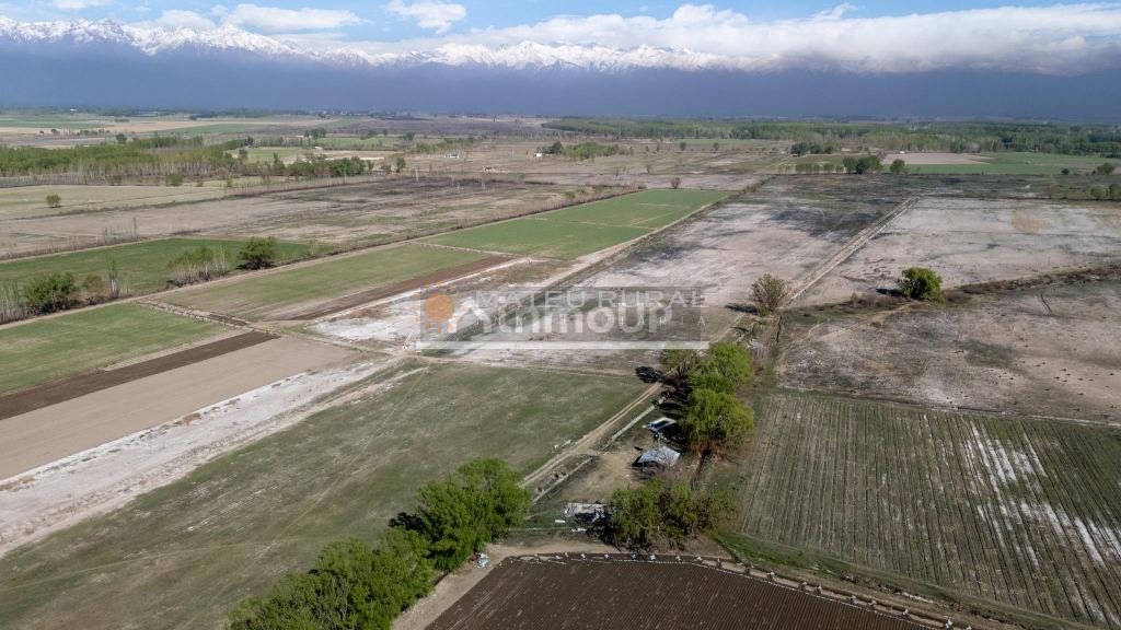 Finca en Venta en Tunuyan, Mendoza