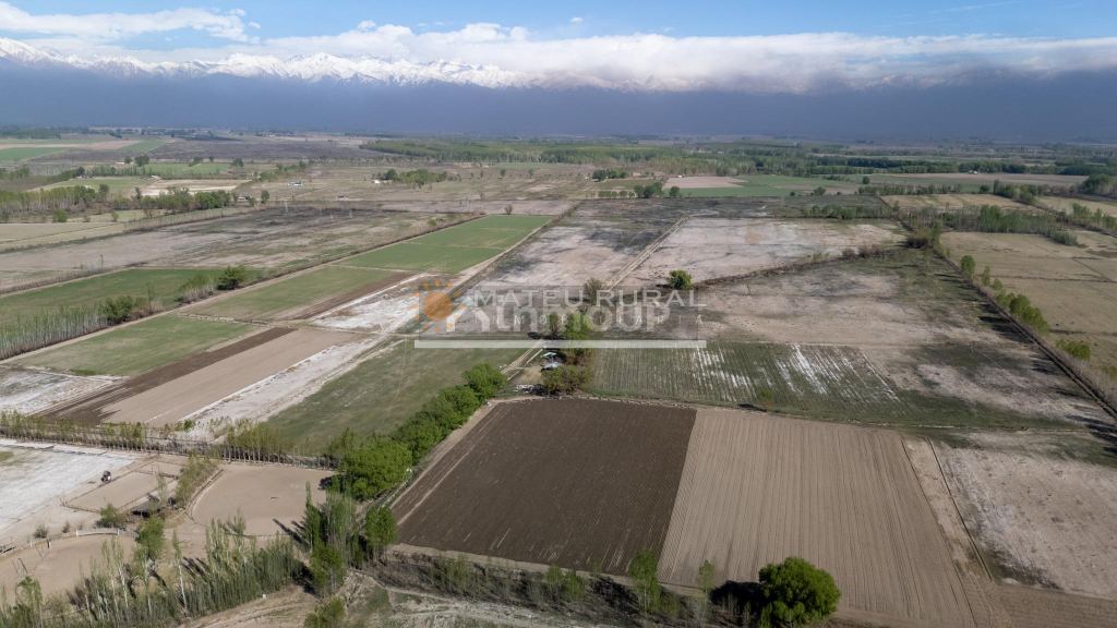 Finca en Venta en Tunuyan, Mendoza