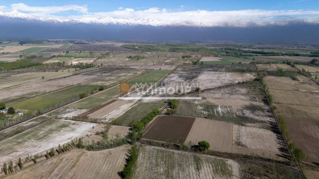 Finca en Venta en Tunuyan, Mendoza