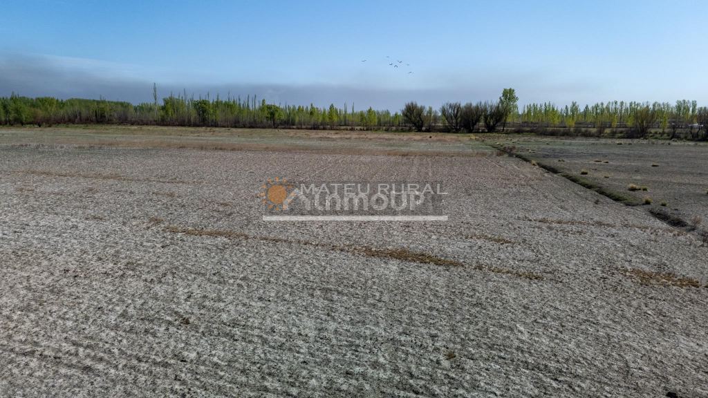 Finca en Venta en Tunuyan, Mendoza
