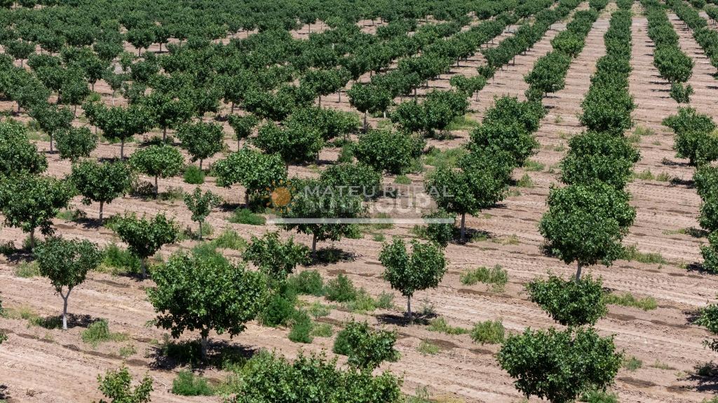 Finca en Venta en Las Heras, Mendoza