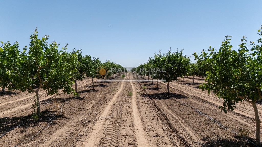 Finca en Venta en Las Heras, Mendoza