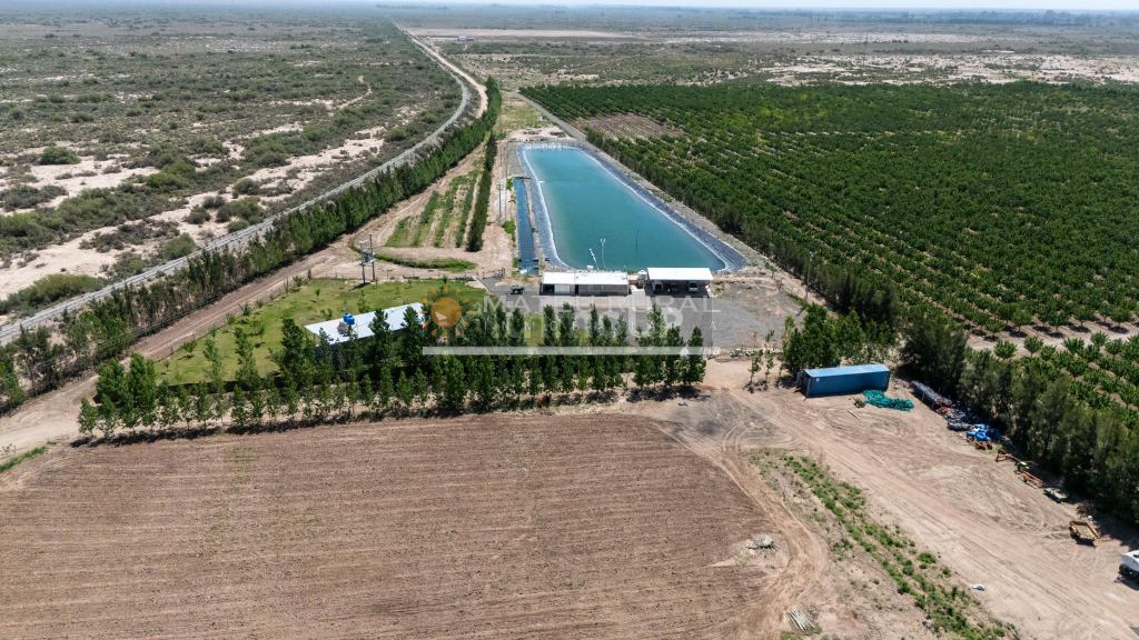 Finca en Venta en Las Heras, Mendoza