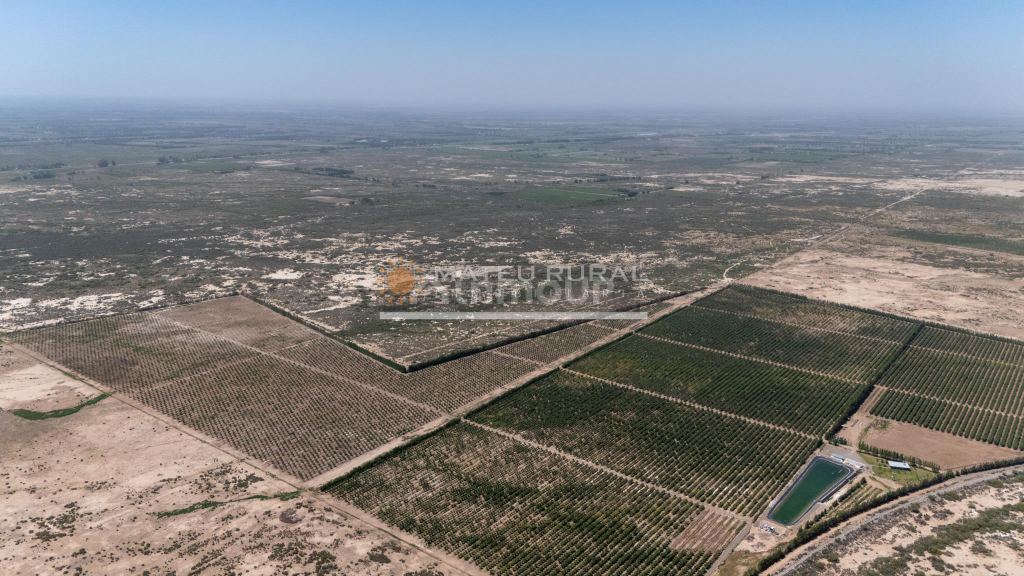 Finca en Venta en Las Heras, Mendoza