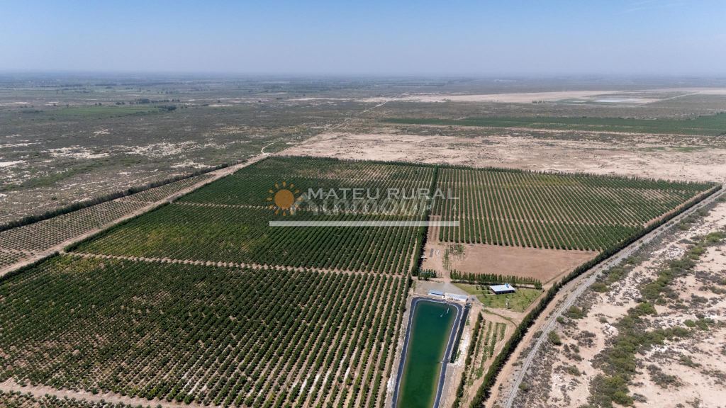 Finca en Venta en Las Heras, Mendoza