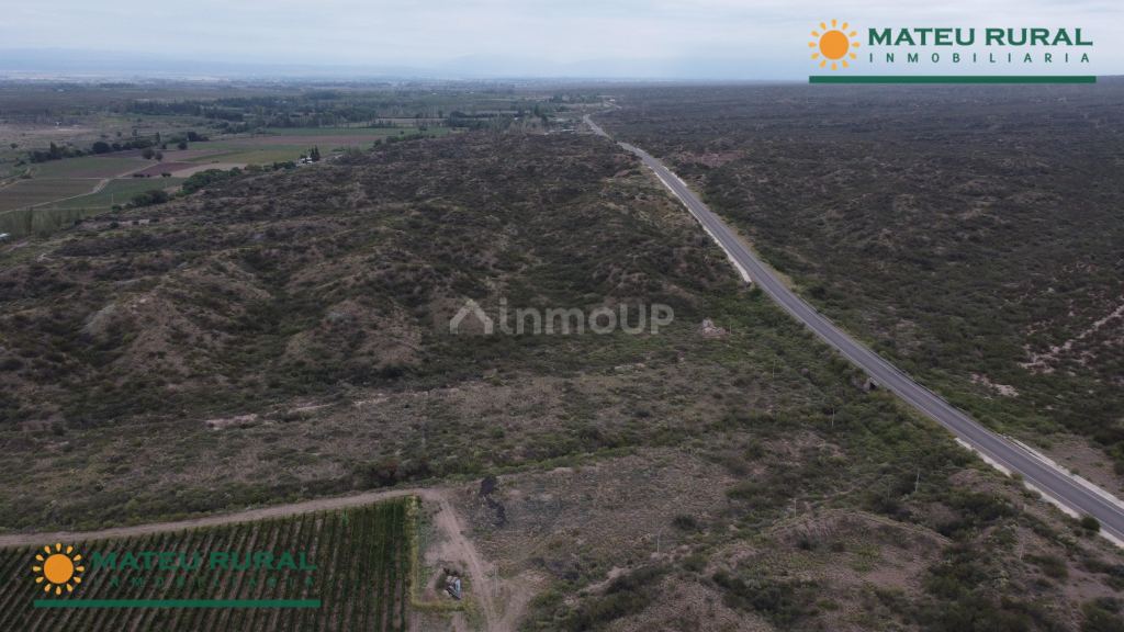 Finca en Venta en Lujan de Cuyo, Mendoza