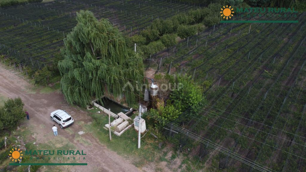 Finca en Venta en Lujan de Cuyo, Mendoza