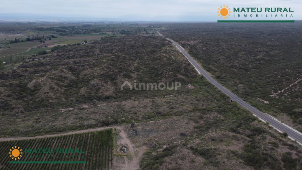 Finca en Venta en Lujan de Cuyo, Mendoza