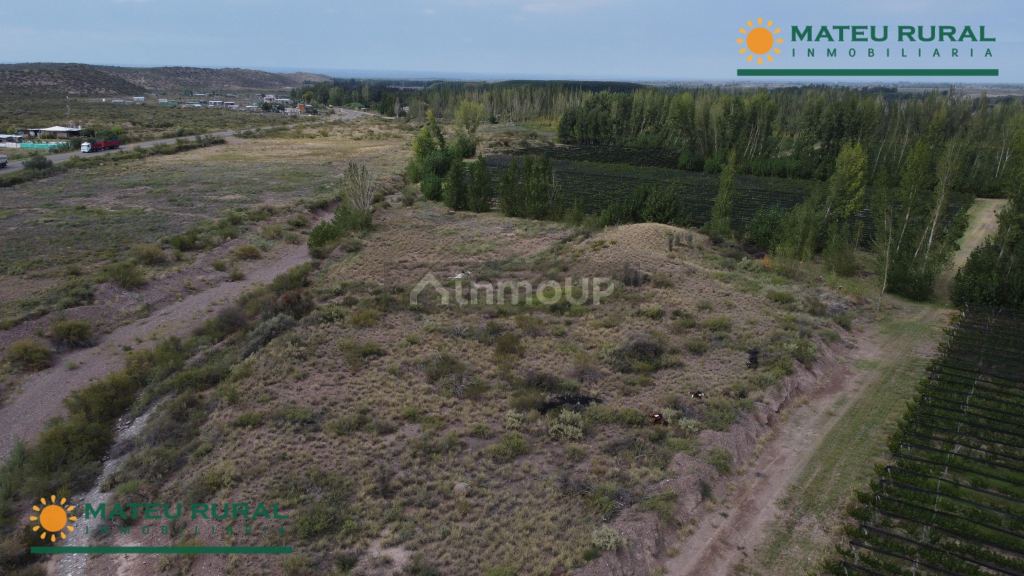 Finca en Venta en Lujan de Cuyo, Mendoza