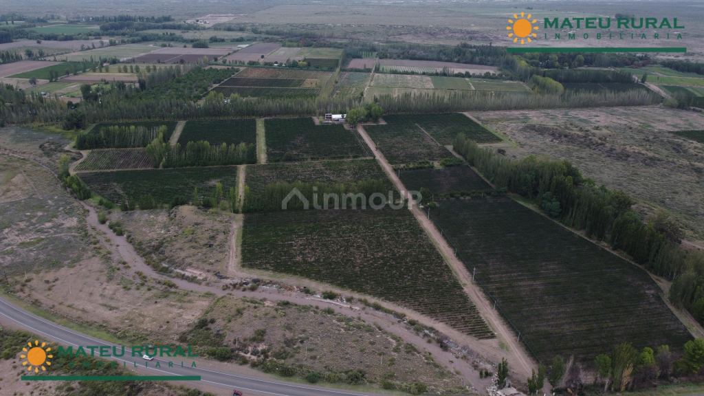 Finca en Venta en Lujan de Cuyo, Mendoza