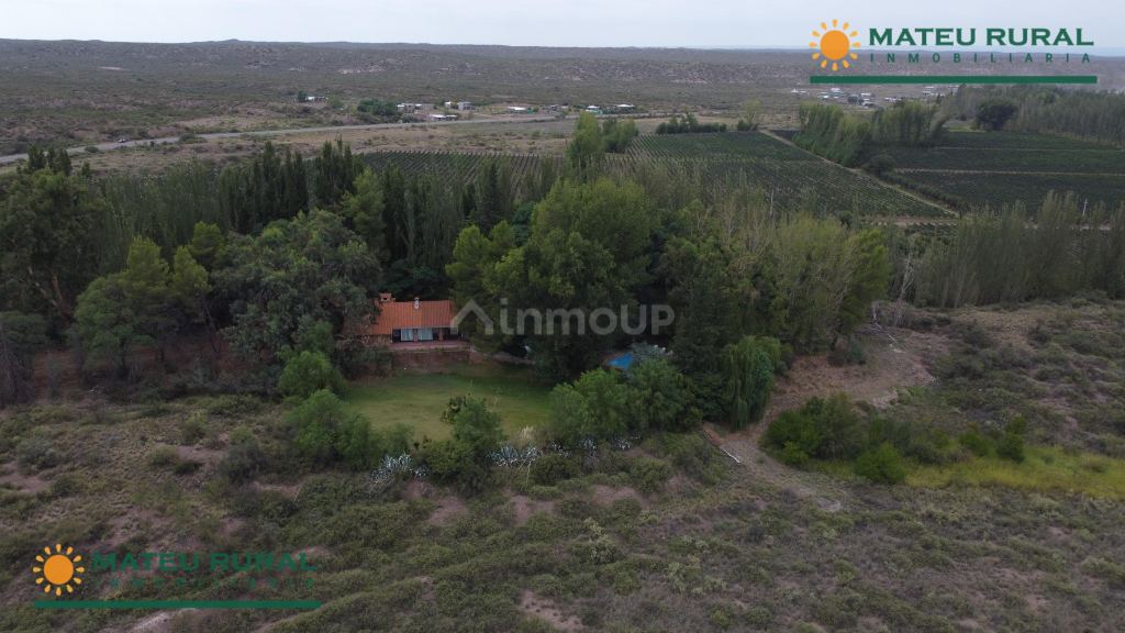 Finca en Venta en Lujan de Cuyo, Mendoza