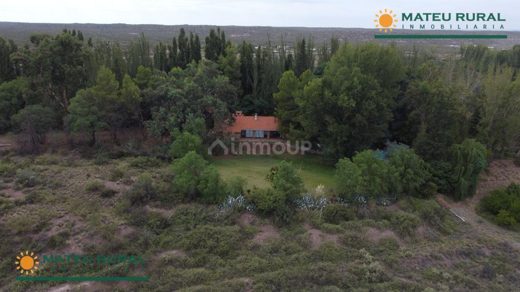 Finca en Venta en Lujan de Cuyo, Mendoza