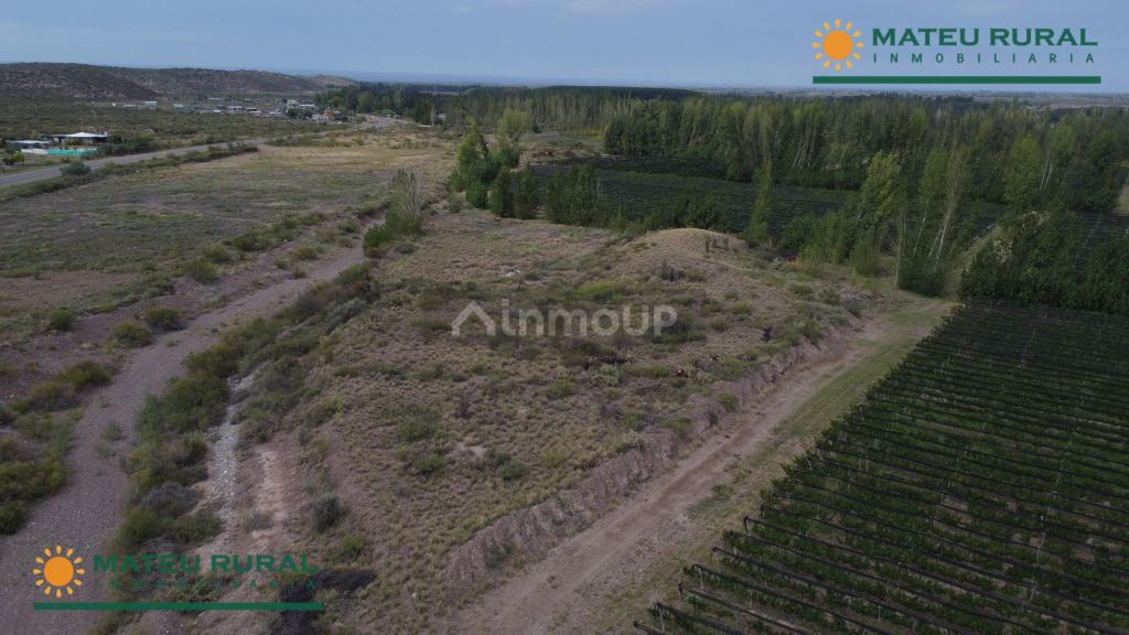 Finca en Venta en Lujan de Cuyo, Mendoza