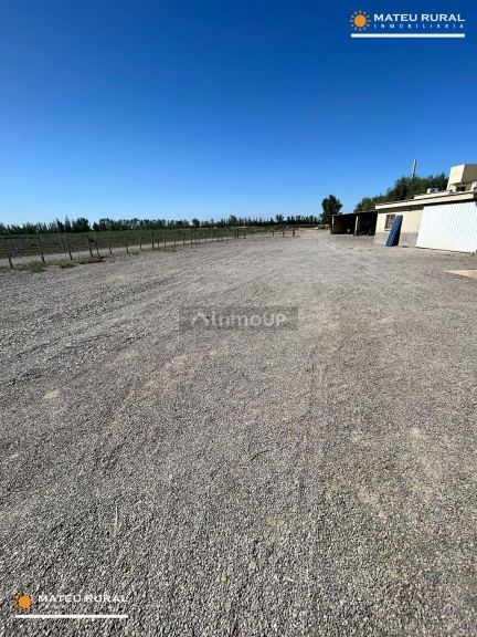 Finca en Venta en Las Heras, Mendoza