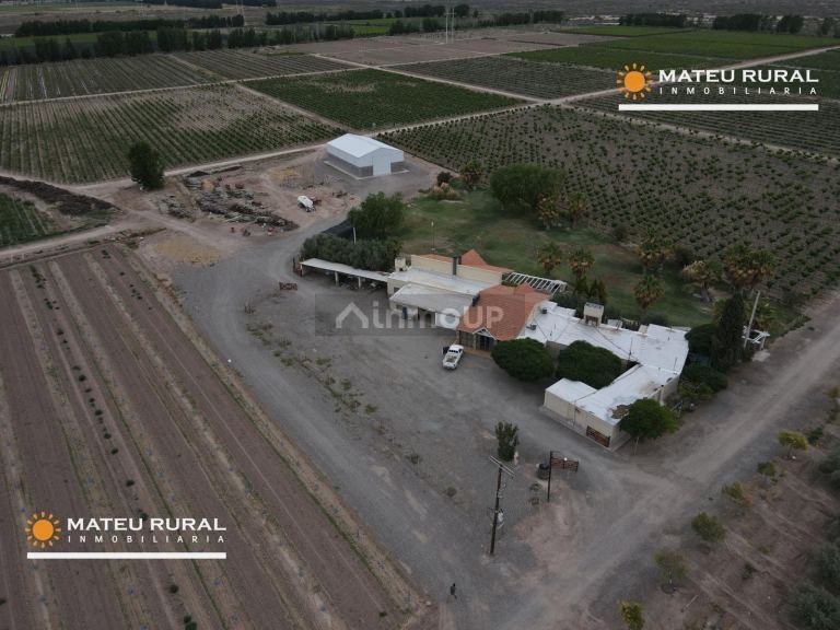 Finca en Venta en Las Heras, Mendoza