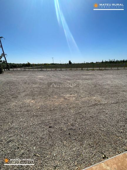 Finca en Venta en Las Heras, Mendoza