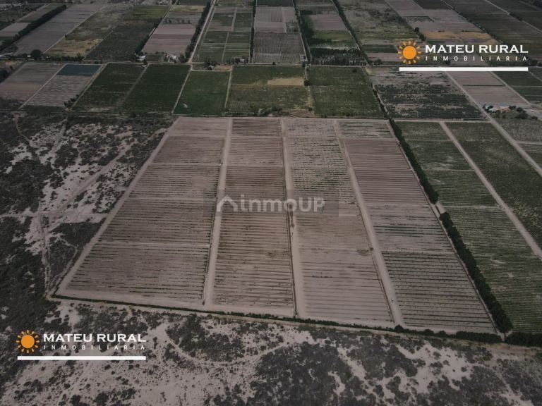 Finca en Venta en Las Heras, Mendoza
