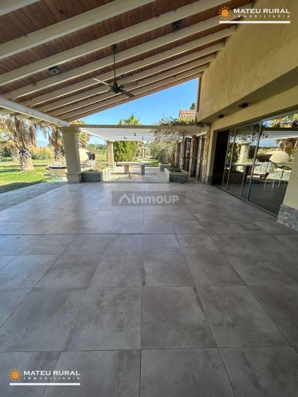 Finca en Venta en Las Heras, Mendoza