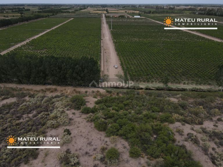 Finca en Venta en Las Heras, Mendoza