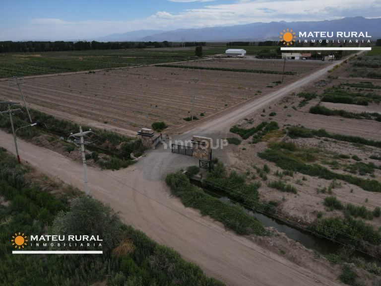 Finca en Venta en Las Heras, Mendoza