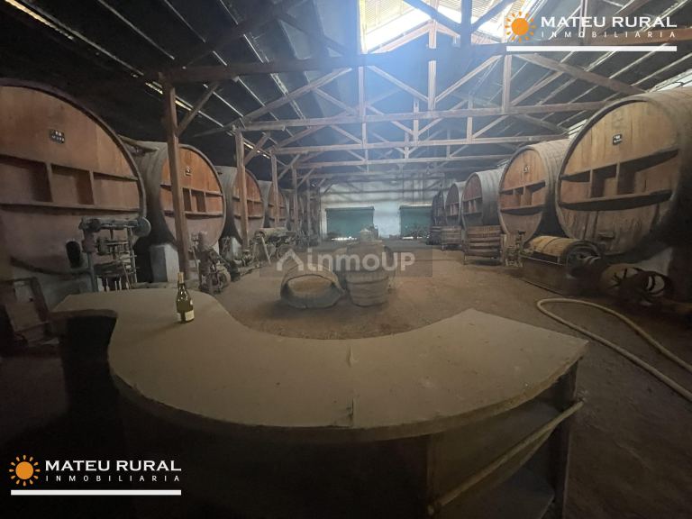 Bodega en Venta en Maipu, Mendoza