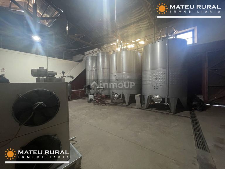 Bodega en Venta en Maipu, Mendoza