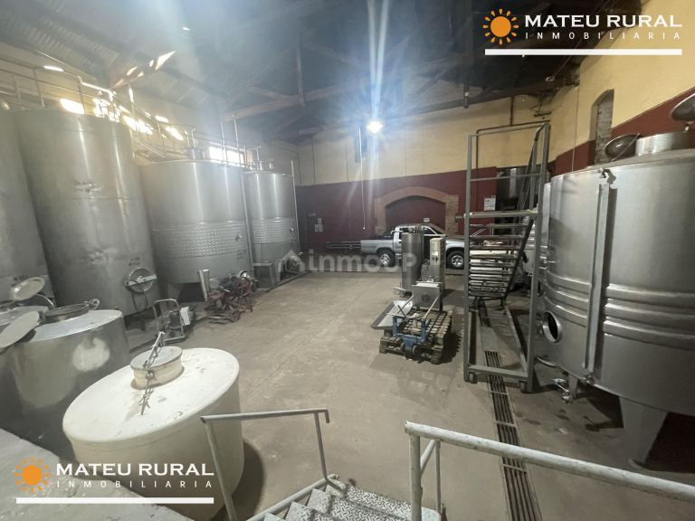 Bodega en Venta en Maipu, Mendoza