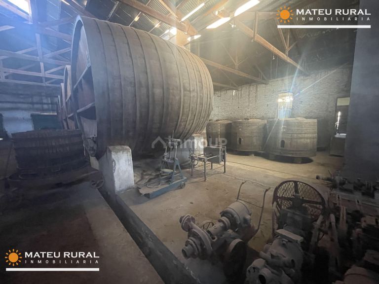 Bodega en Venta en Maipu, Mendoza