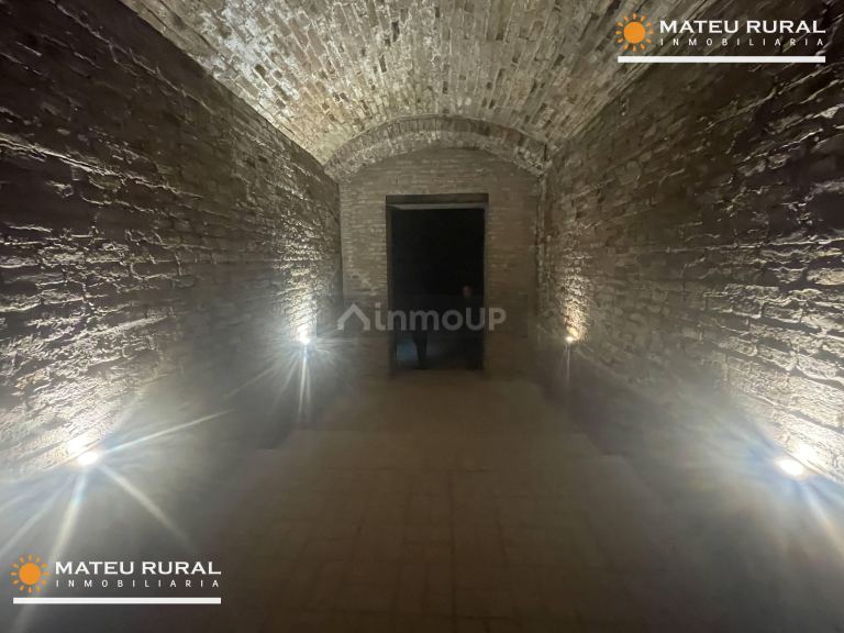 Bodega en Venta en Maipu, Mendoza