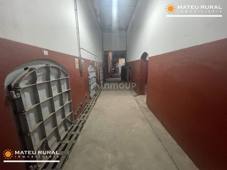 Bodega en Venta en Maipu, Mendoza