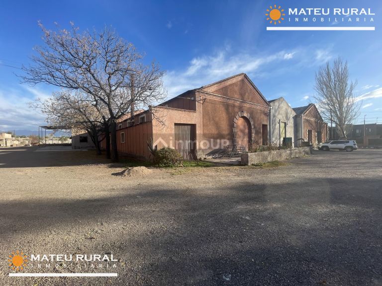 Bodega en Venta en Maipu, Mendoza