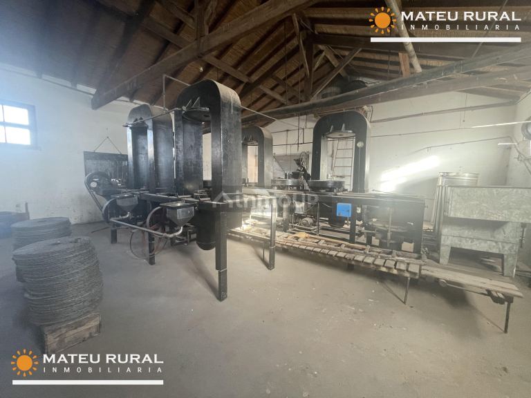 Bodega en Venta en Maipu, Mendoza