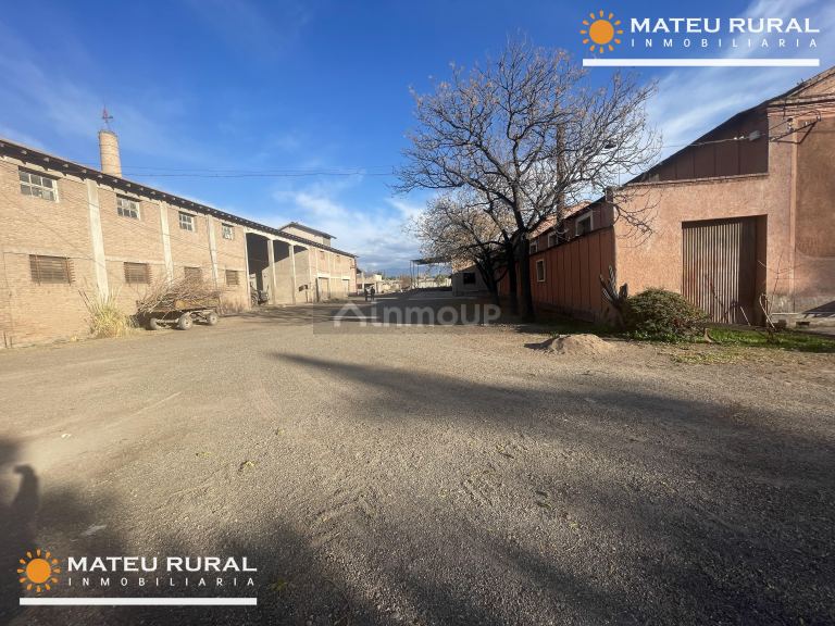 Bodega en Venta en Maipu, Mendoza
