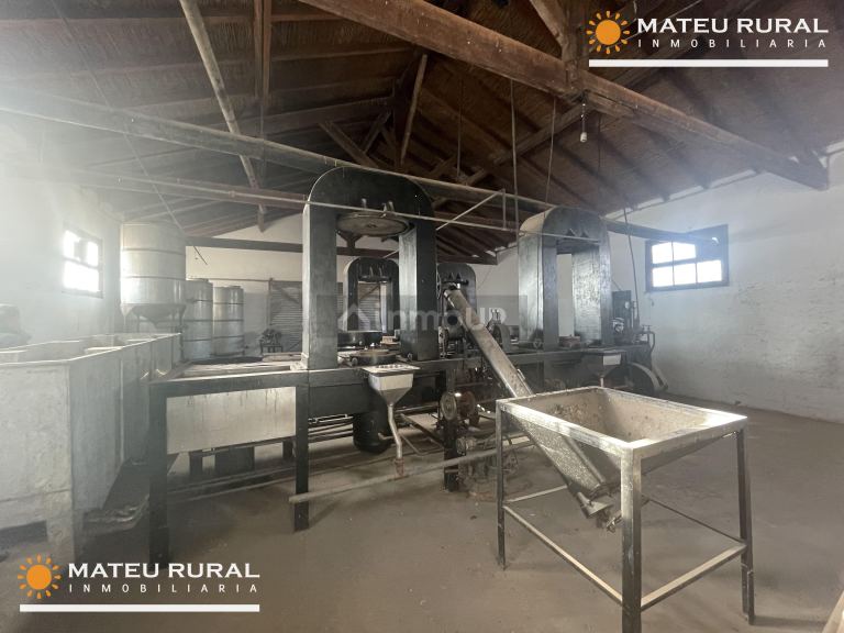 Bodega en Venta en Maipu, Mendoza