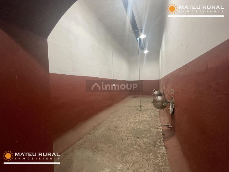 Bodega en Venta en Maipu, Mendoza